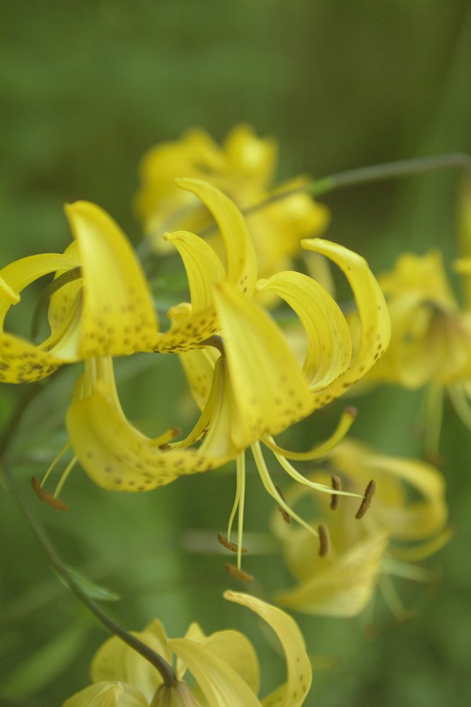 Photograph by Dariusz Gruszka