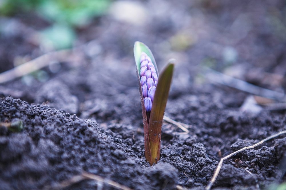 Фотография автора Юлия Капустинская