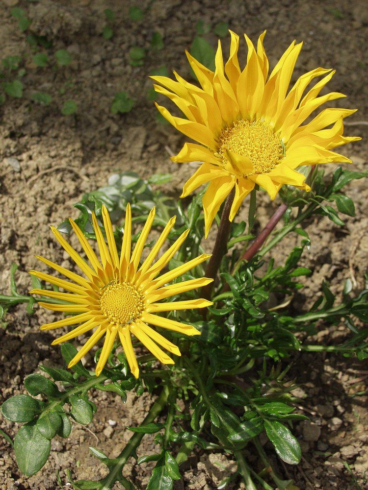 Photograph by Dariusz Gruszka