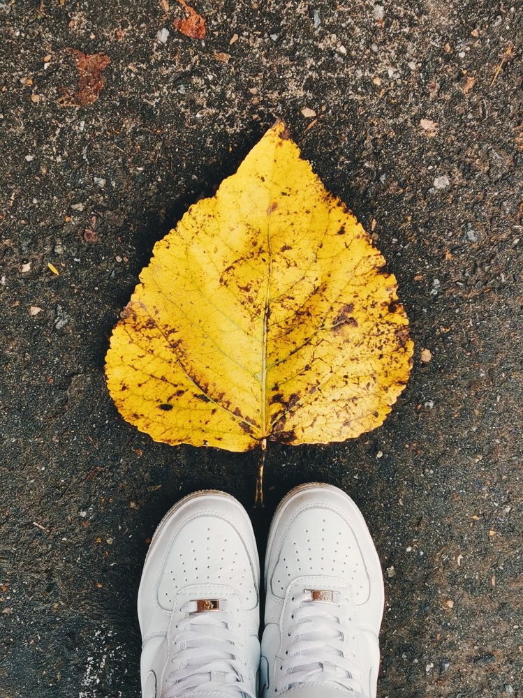 Photograph by Светлана Гончарова