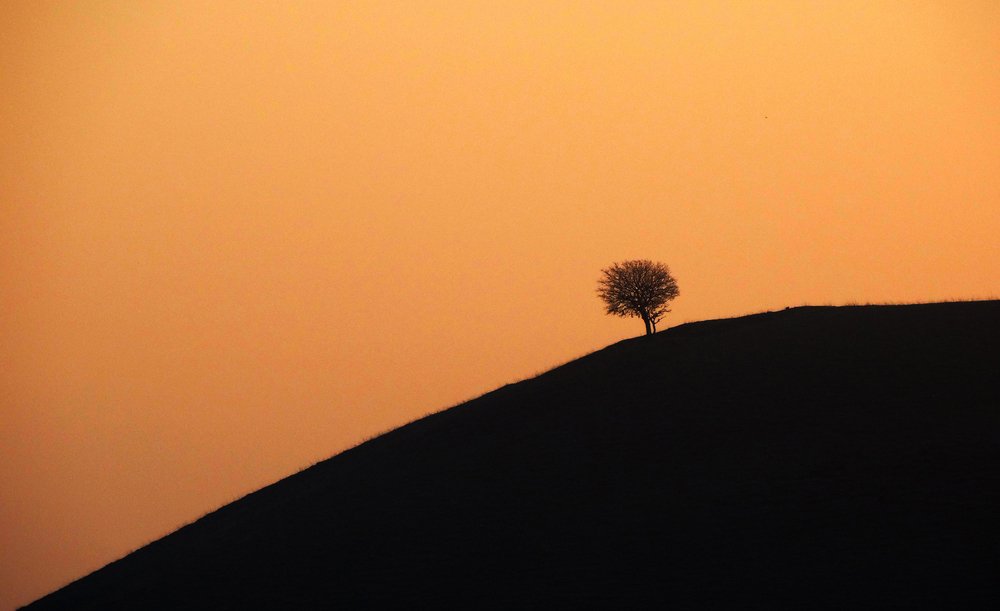 Photograph by Alex Kalpus