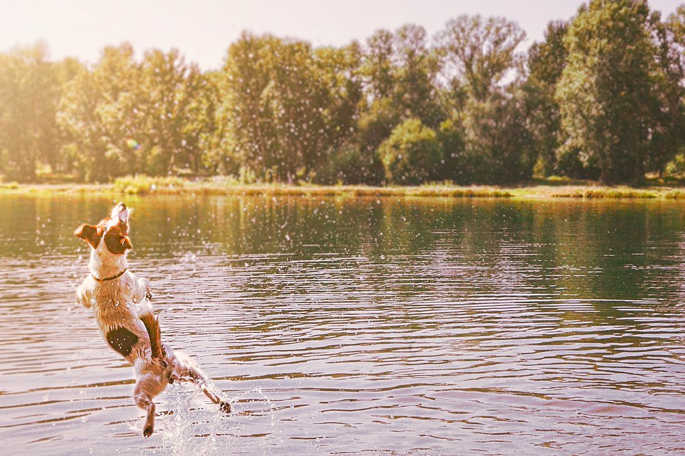 Photograph by Ная Григ