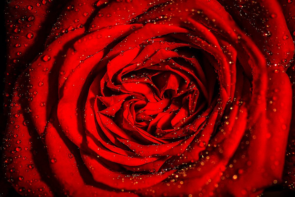 Photograph by Irfanali Borgave