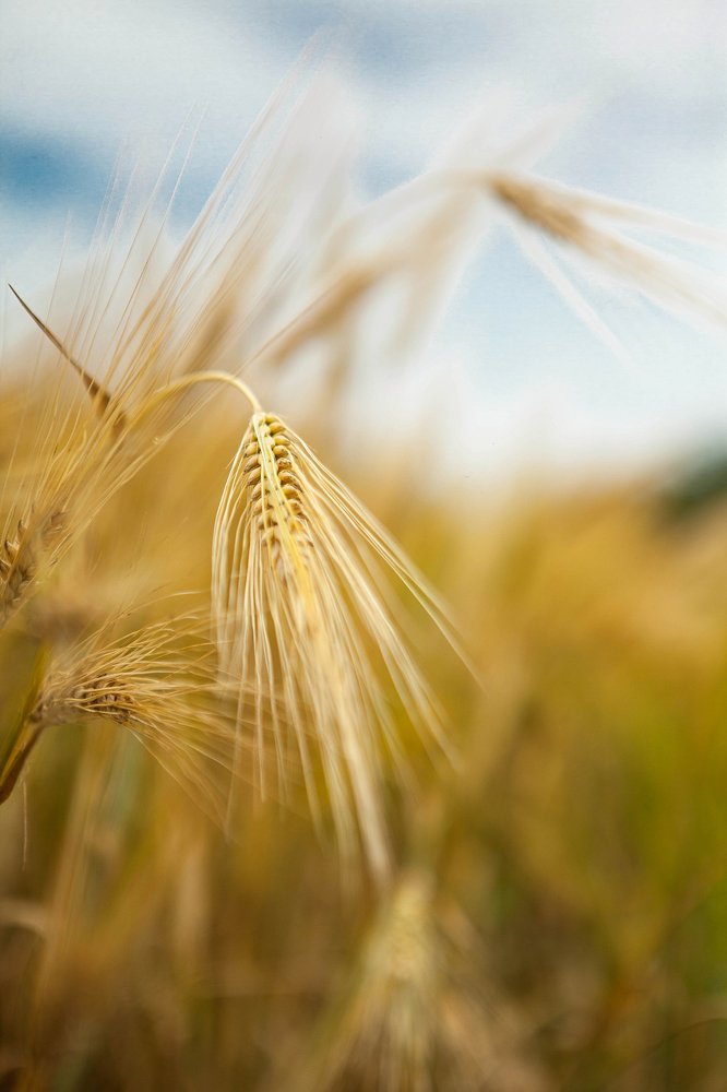 Photograph by Юлия Капустинская