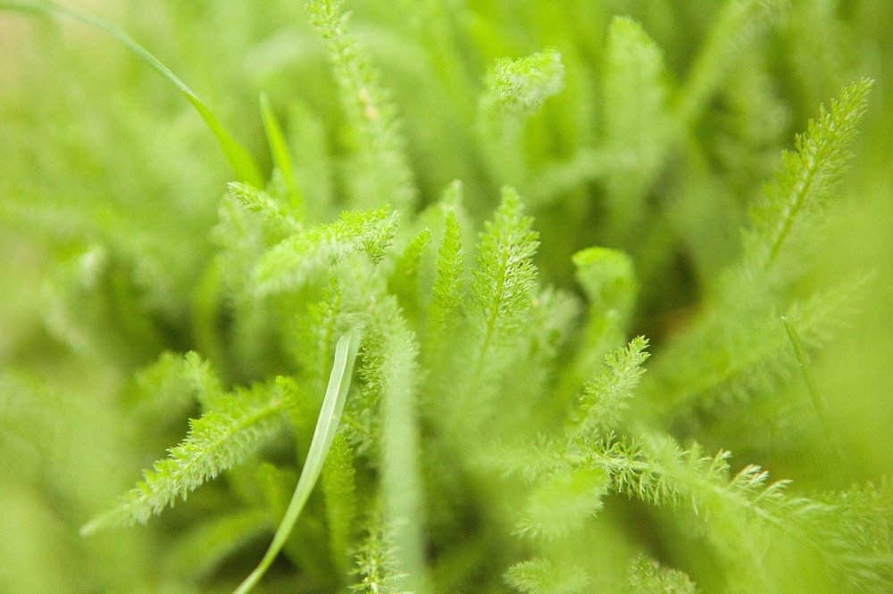 Фотография автора Юлия Капустинская