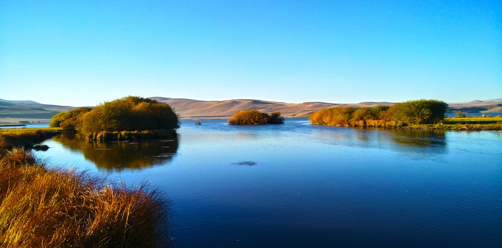 Photograph by Alex Kalpus