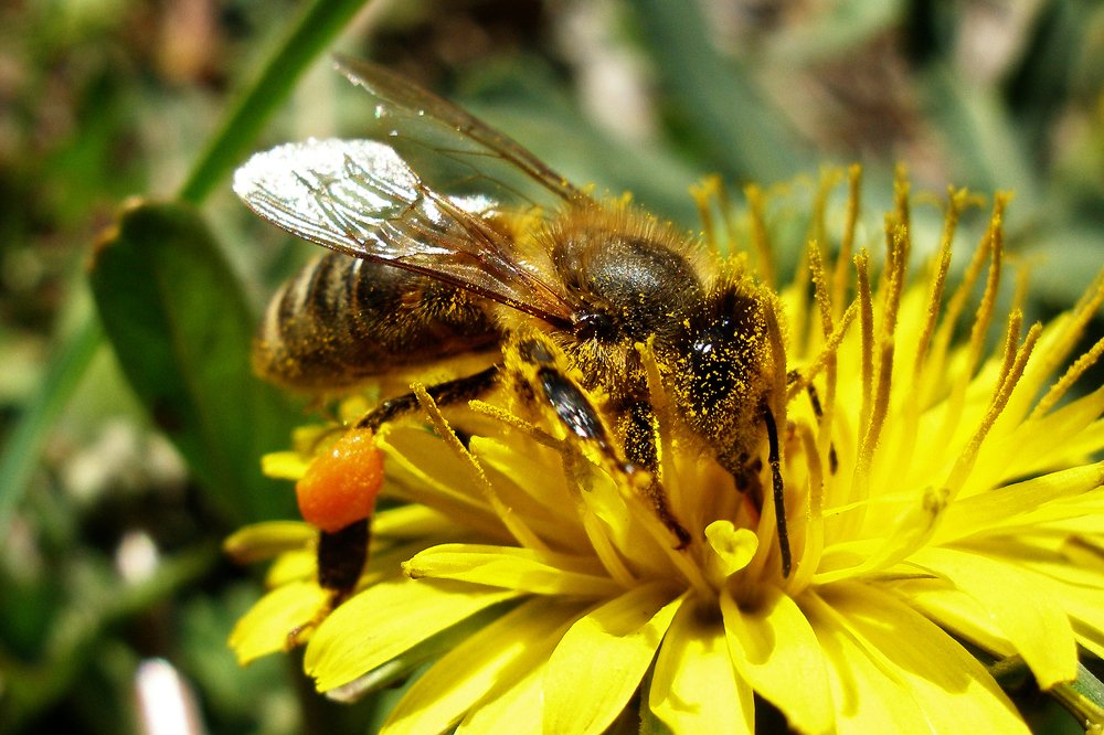 Photograph by Владимир Харчиков