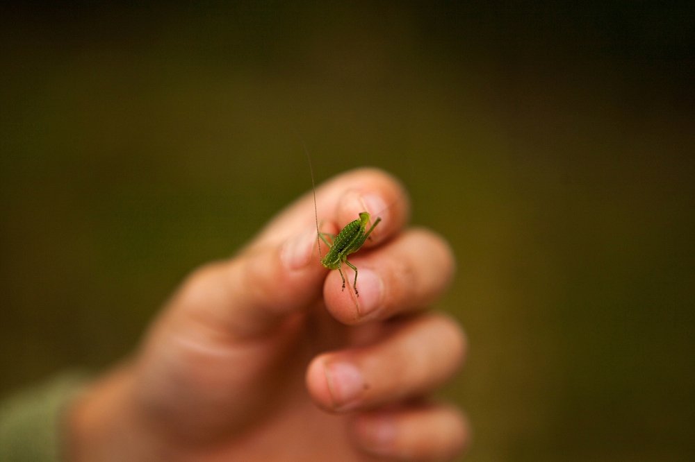 Фотография автора Юлия Капустинская