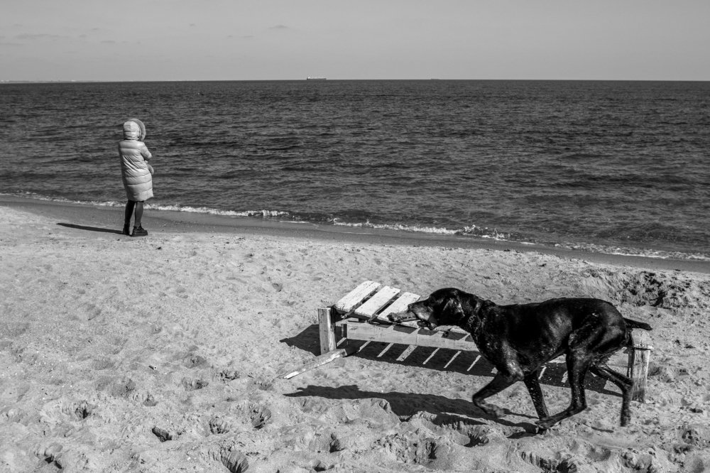 Фотография автора Dmitriy Zhuravlev