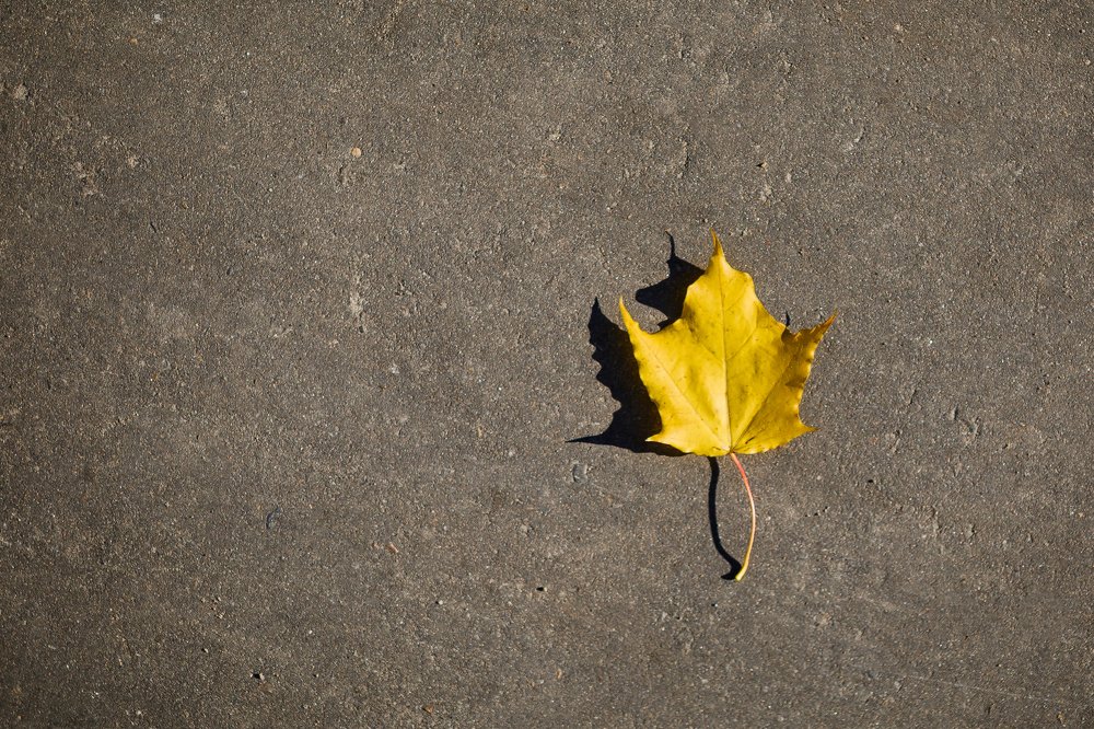 Photograph by Денис Соловьёв