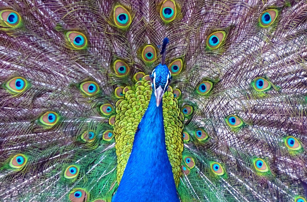 Photograph by Alex Kalpus