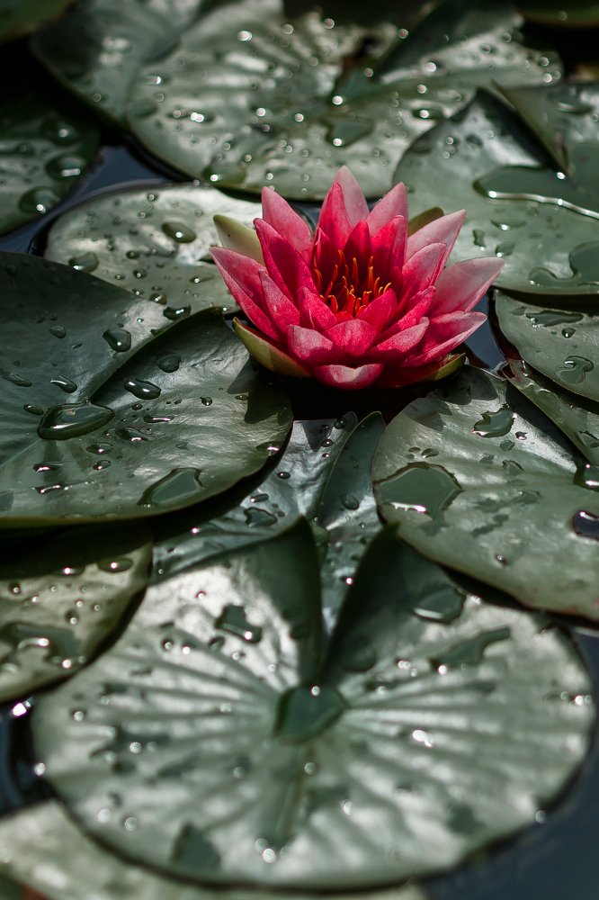 Photograph by Денис Соловьёв