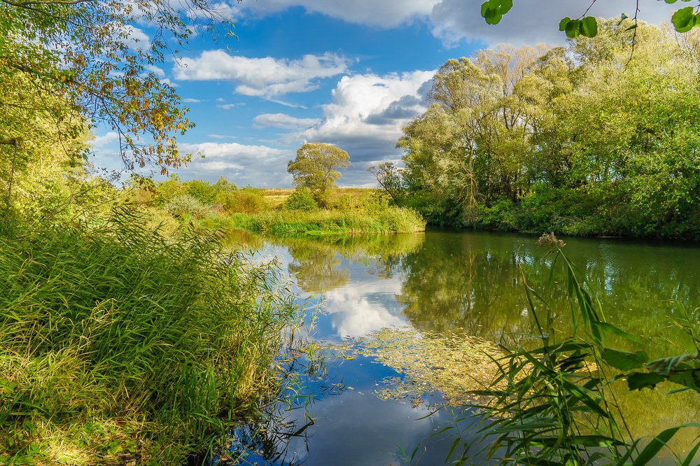 Картина русской природы. Сентябрь.