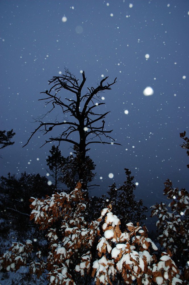 Photograph by Андрей Бойко