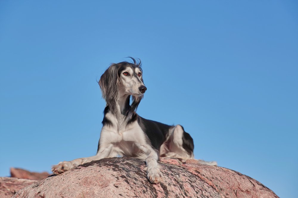 Photograph by Лана Полякова