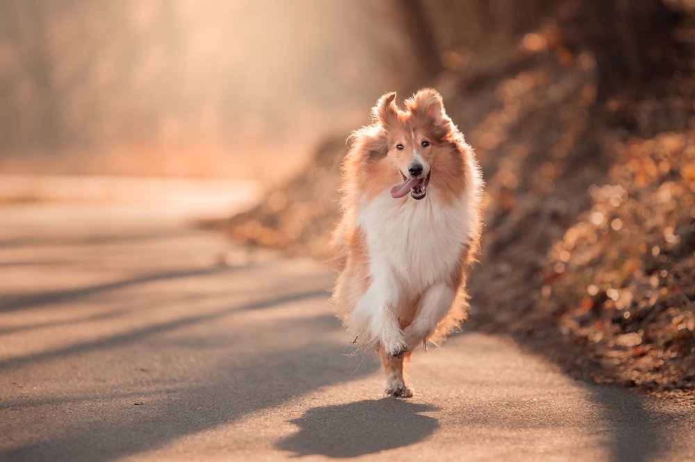 Photograph by Alisa Borodin