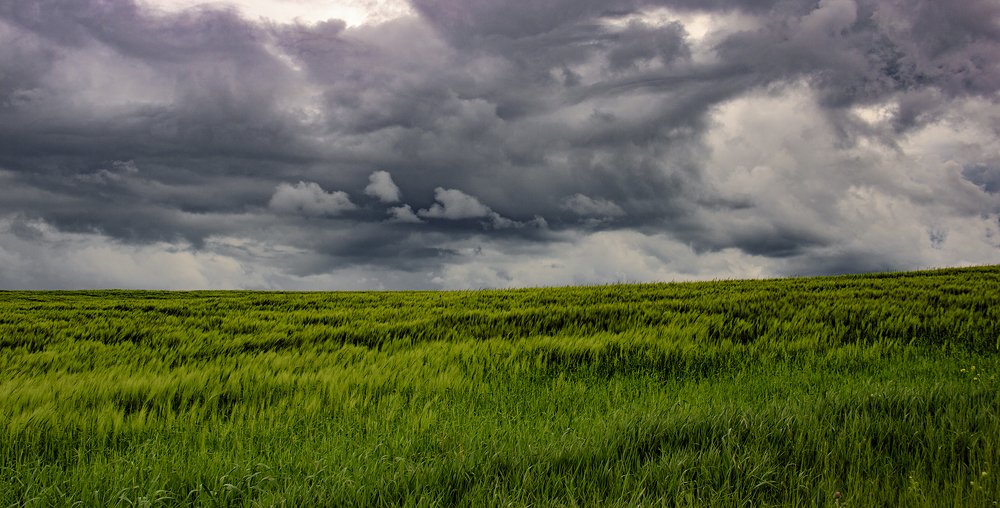 Photograph by Alex Kalpus