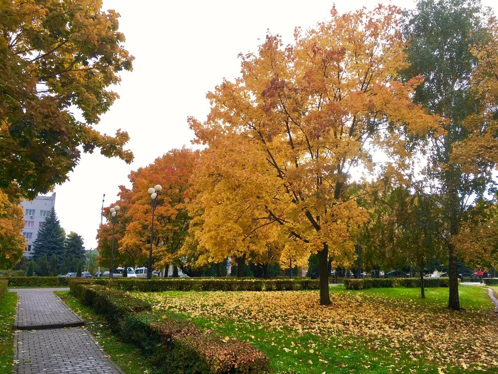 Photograph by Дмитрий Долгов