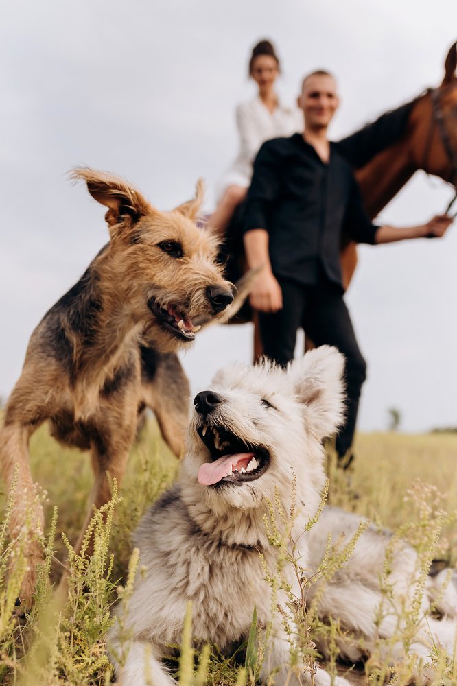 Photograph by Alexander Gulak