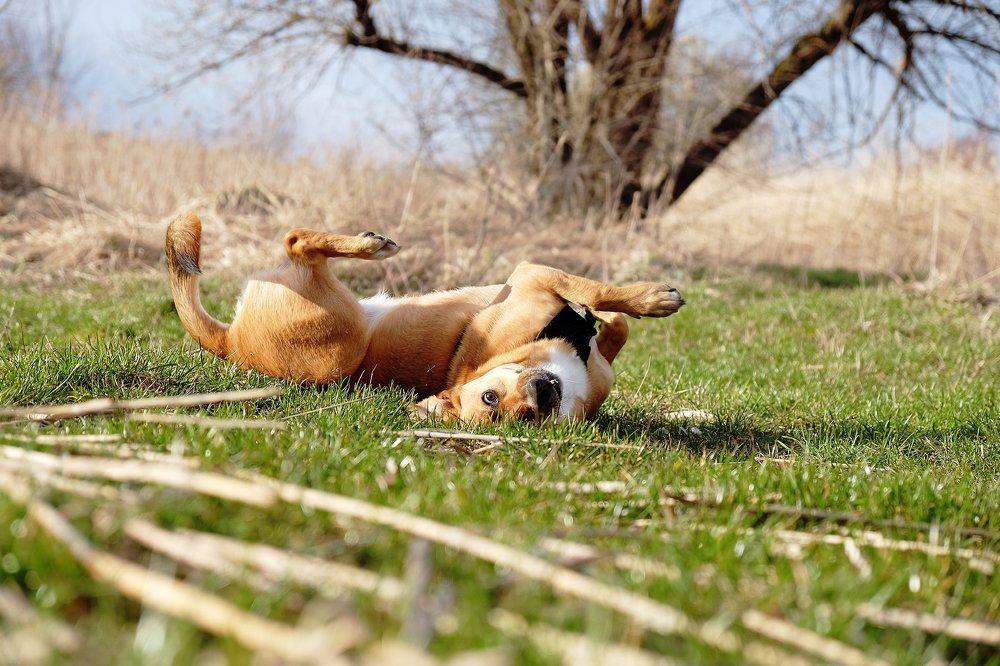 Photograph by Tjaša Završnik