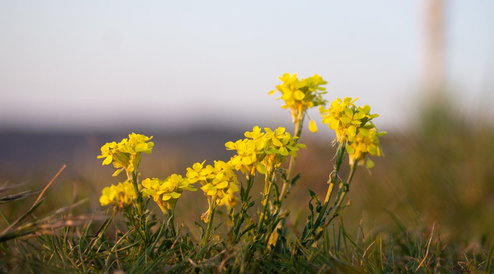 Photograph by Александр Кузнецов