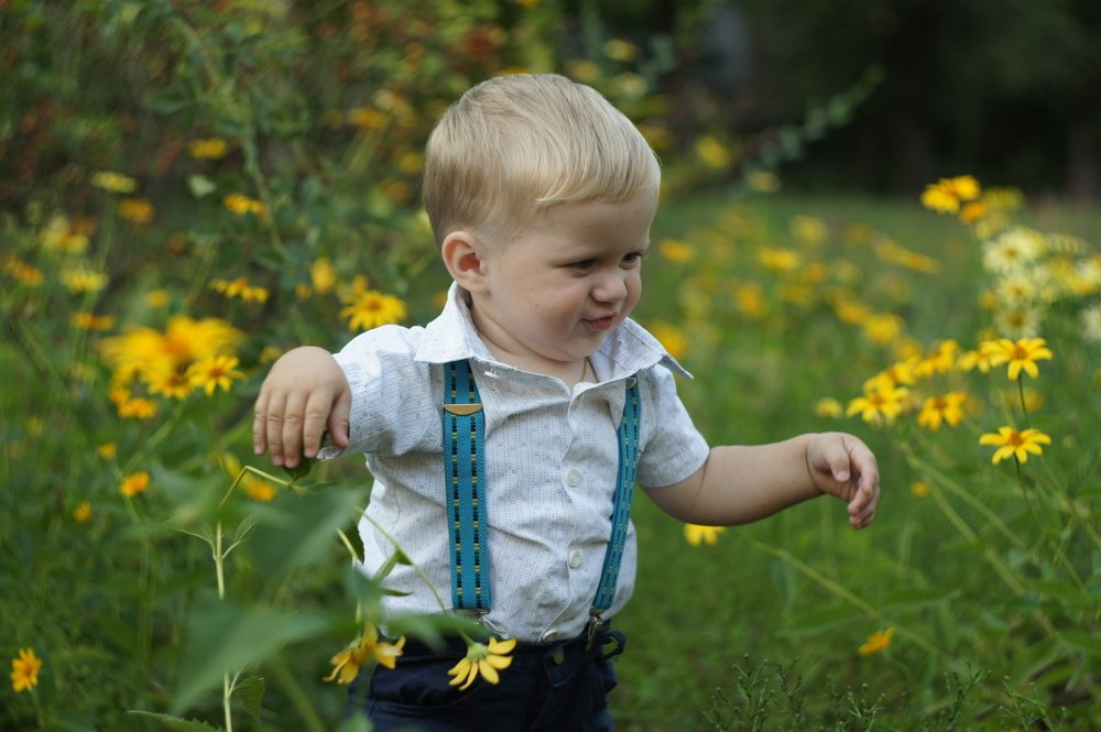Мажор пошел собирать цветы для мамы!