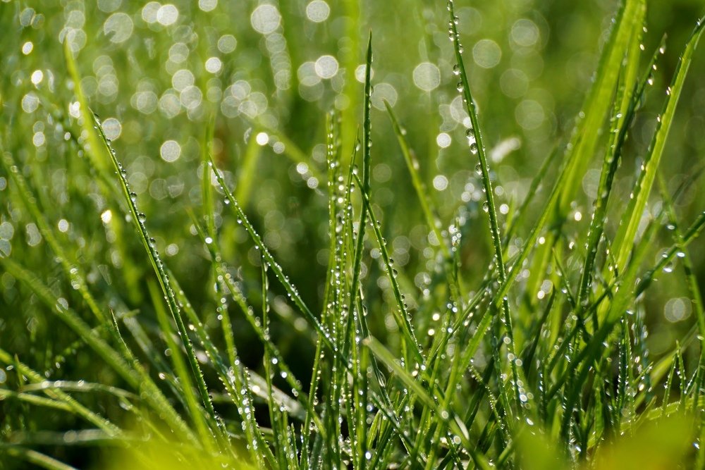 Photograph by Александр Попов