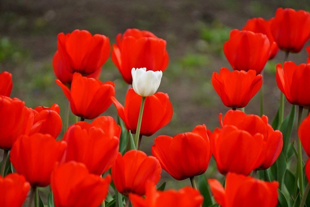 Photograph by Александр Попов