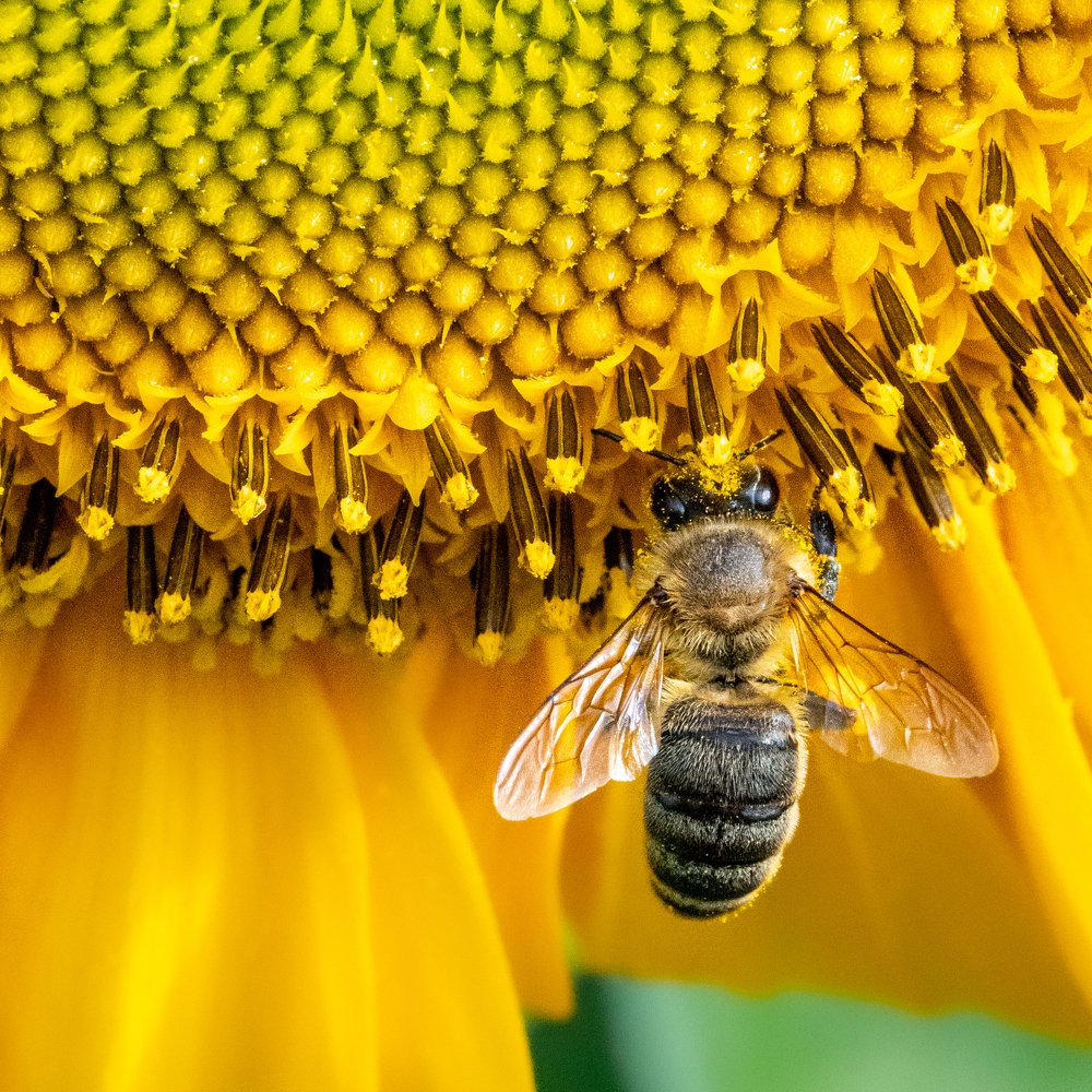 Photograph by  Mykhailo