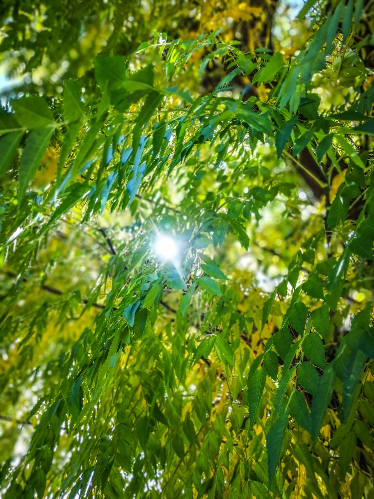 Photograph by JD Softley