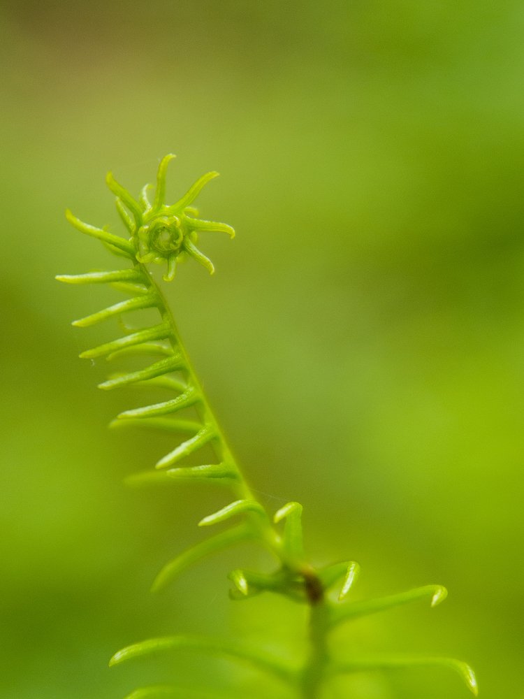 Photograph by  Mykhailo