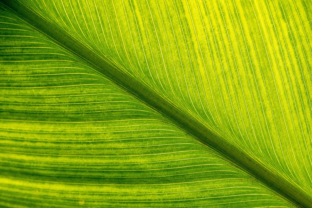 Photograph by  Mykhailo