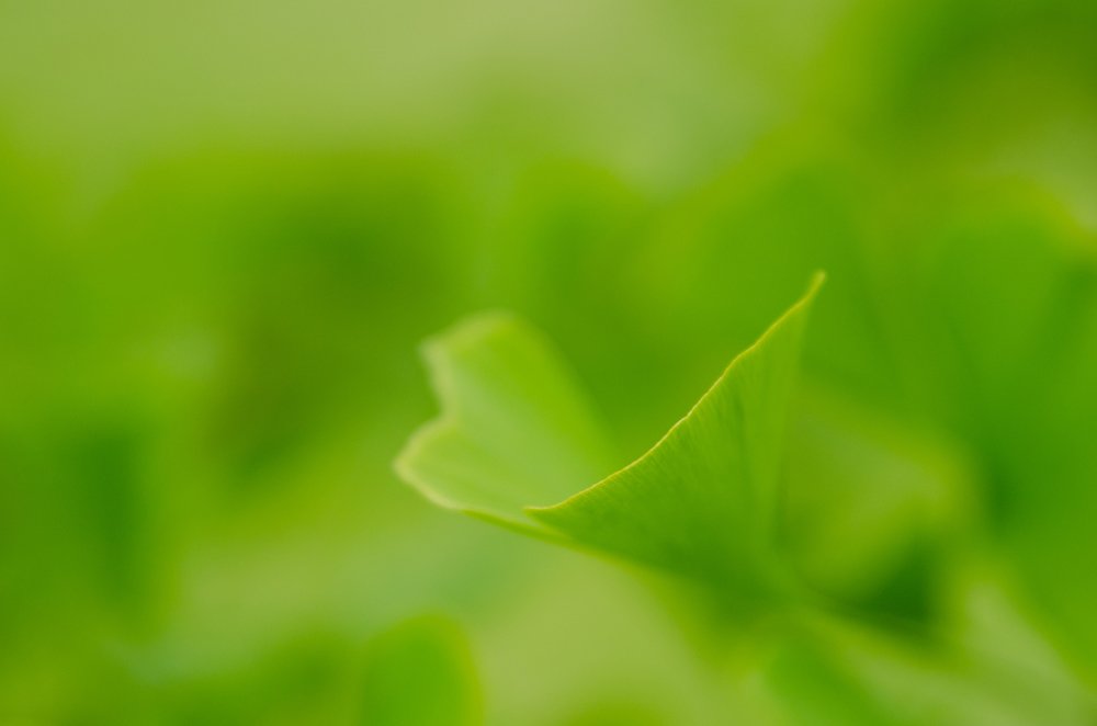 Photograph by  Mykhailo