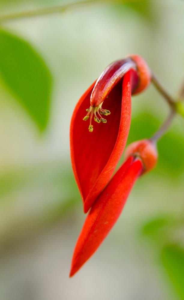 Photograph by  Mykhailo