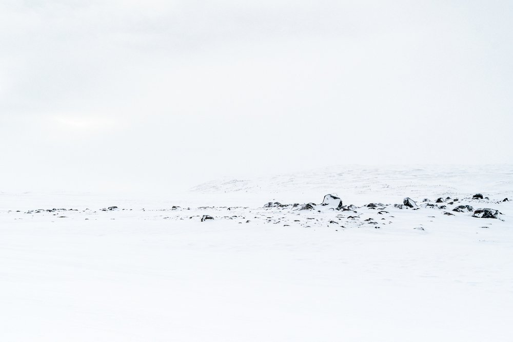 Photograph by  Mykhailo