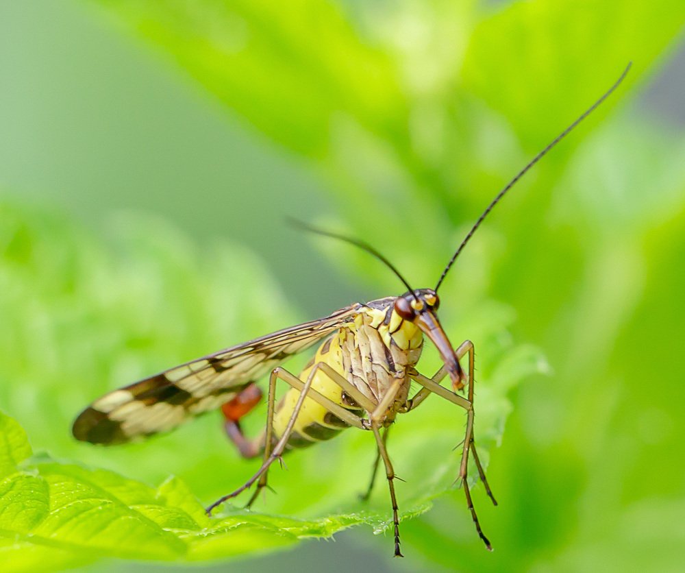 Photograph by Борис Платицин