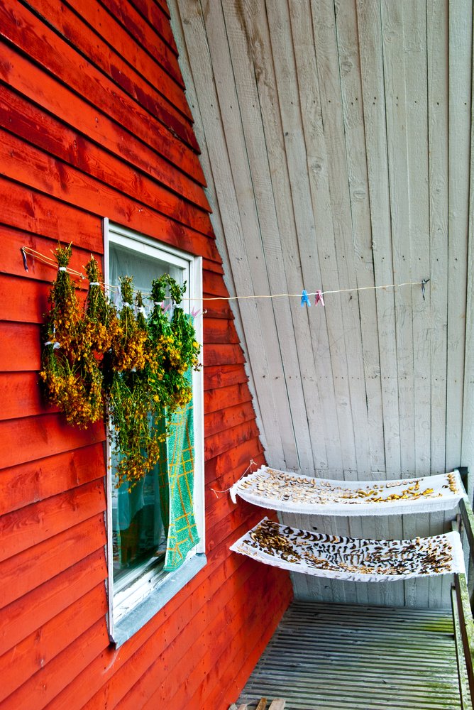 Photograph by  Mykhailo