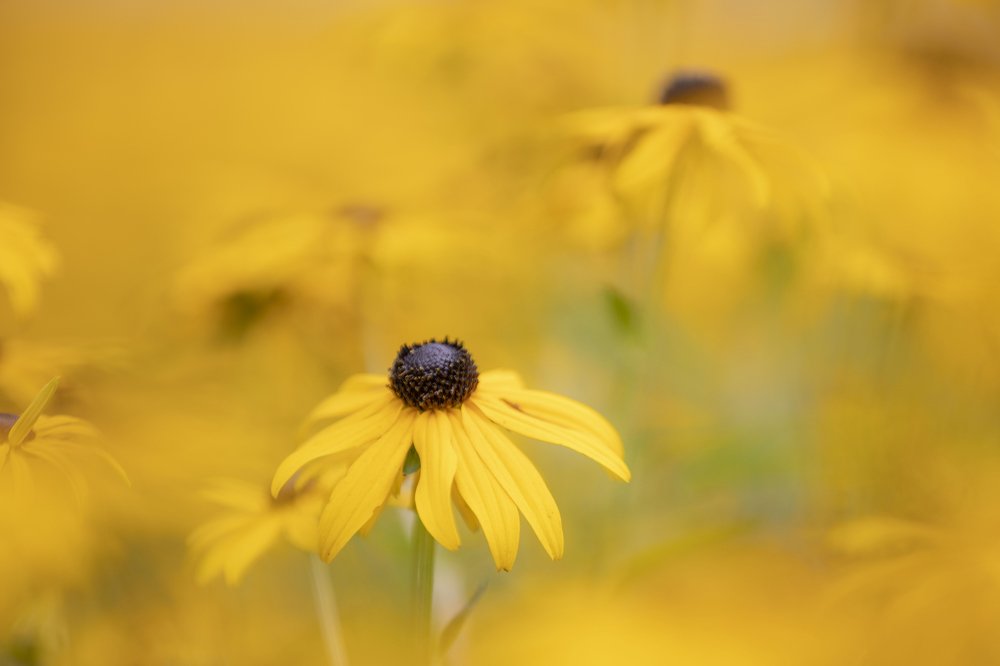 Photograph by Yana Raaga