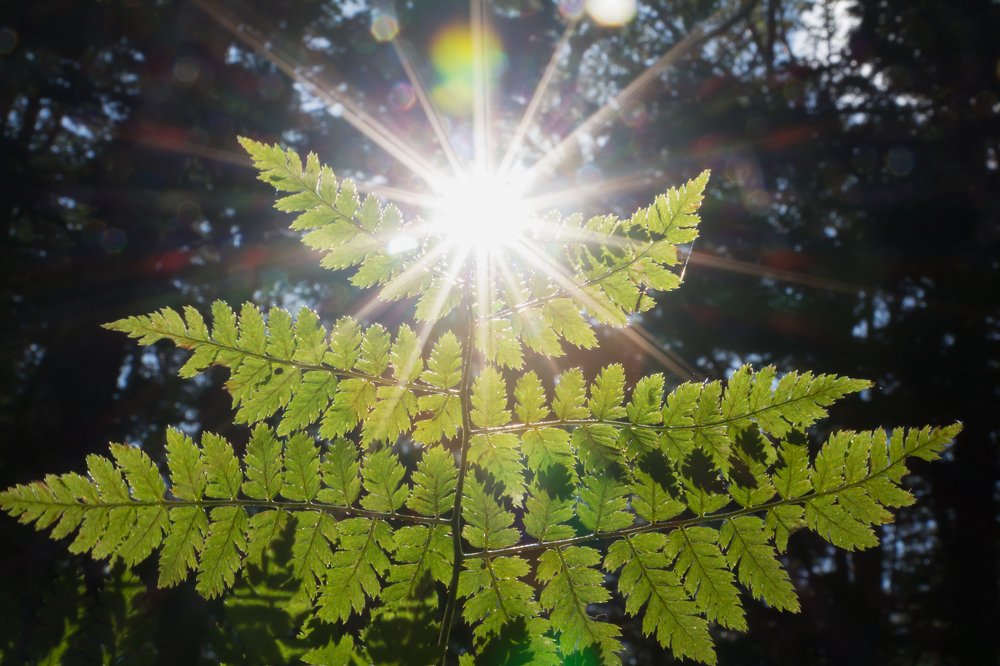 Photograph by Шиповалов Роман