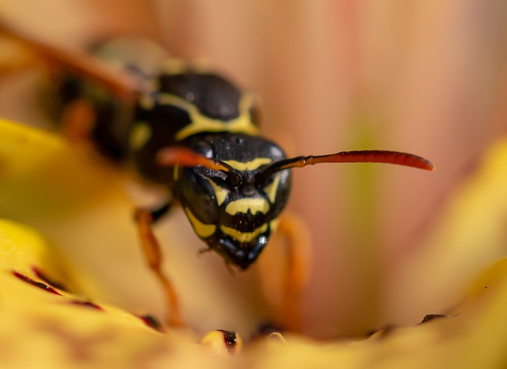 Photograph by Борис Платицин