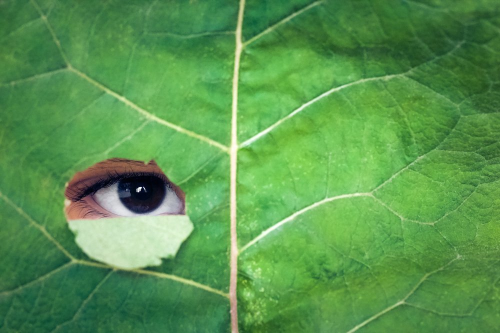 Photograph by Алла Вовк