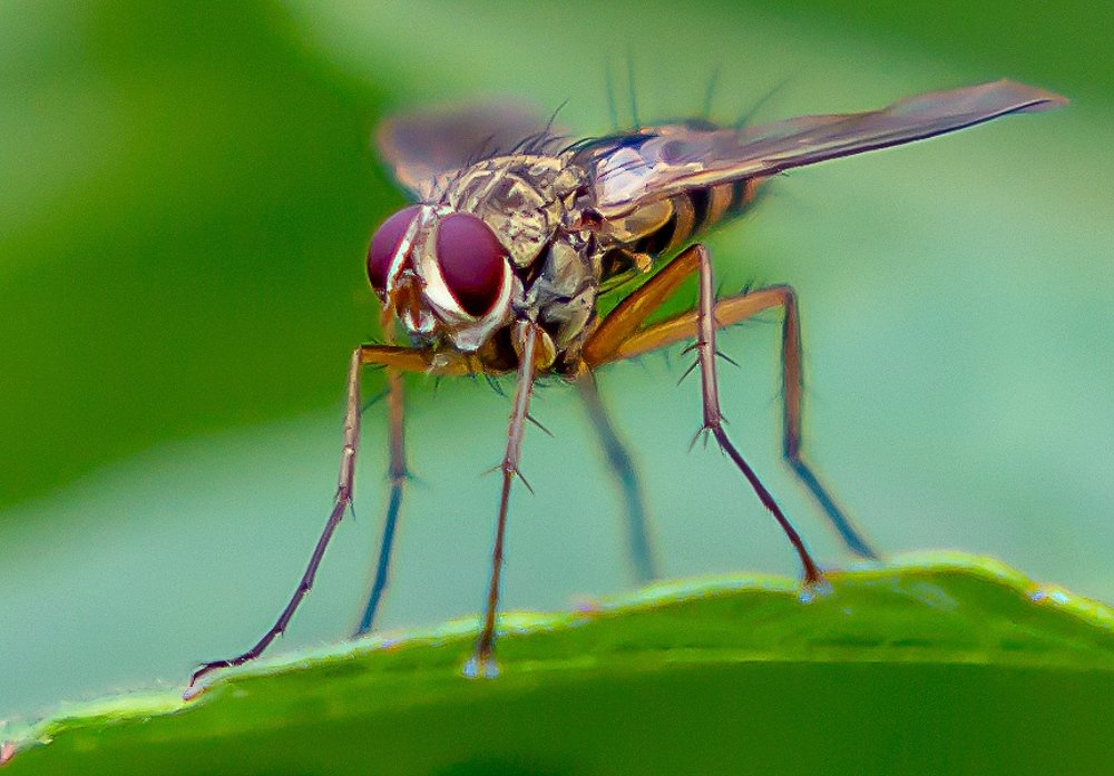 Photograph by Борис Платицин