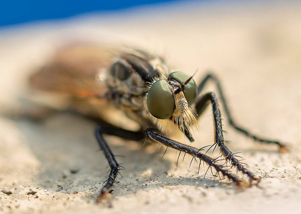 Photograph by Борис Платицин