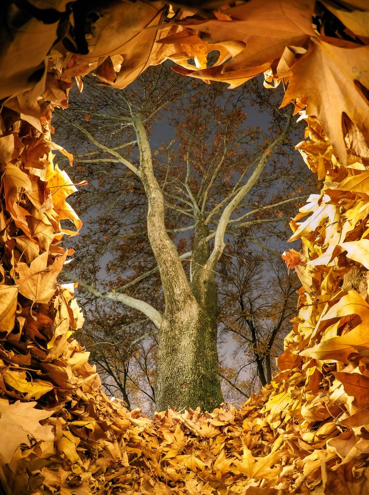 Photograph by Farshad Yazdankhah