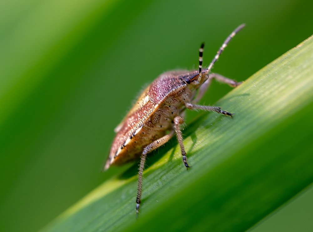 Photograph by Борис Платицин