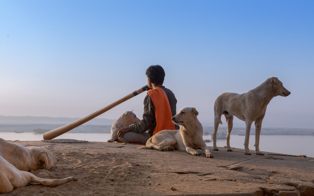 Фотография автора pramod malviya