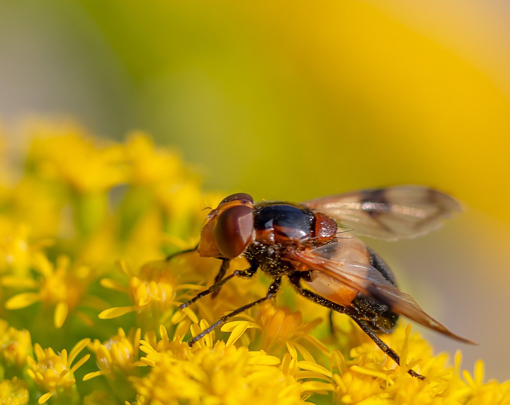 Photograph by Борис Платицин