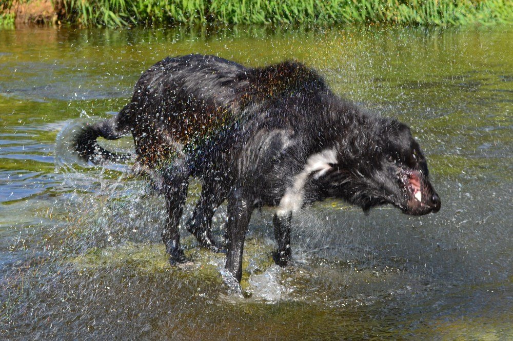 Photograph by Ольга Хромова