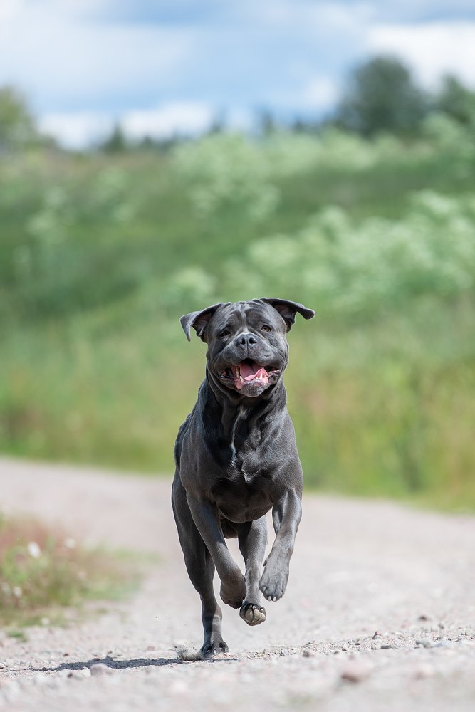 Photograph by Irina Kovaleva