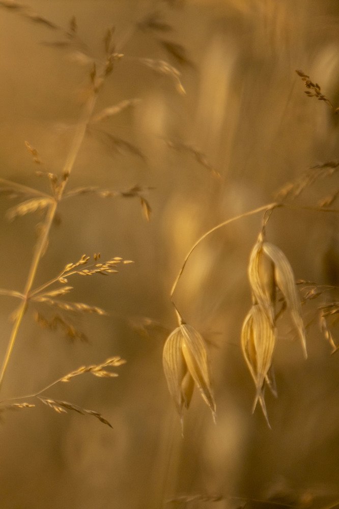 Photograph by Yana Raaga